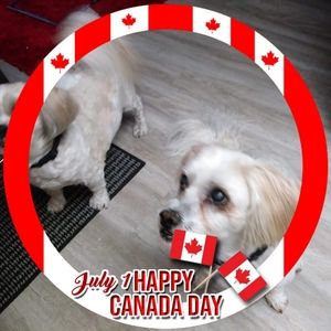 Meet your Posher, Rita